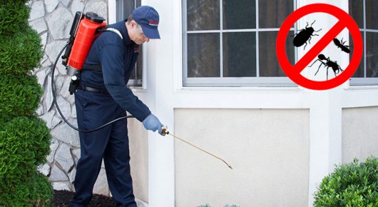 Pehlivanköy Uçan Haşere İlaçlama böcek ilaçlama ve haşere kontrolü — ilaclama-tr.com